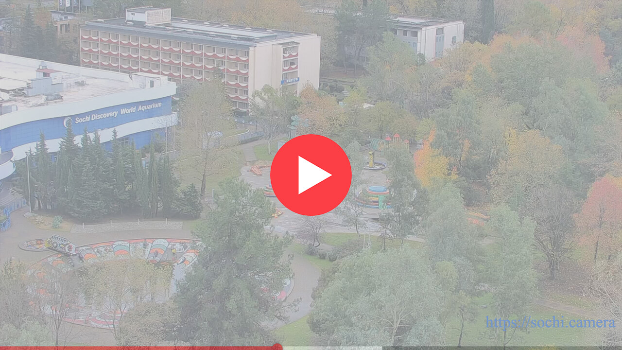 Фрегат: фото с веб-камеры.