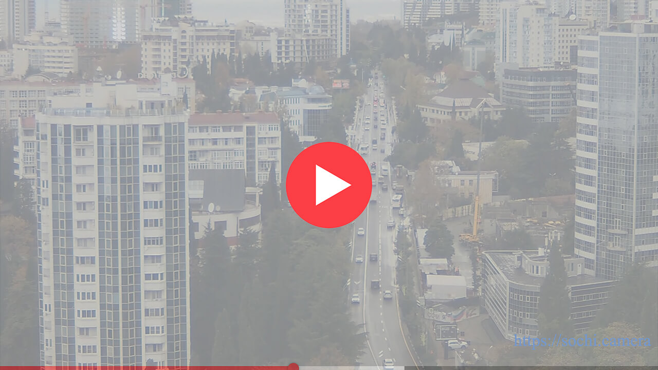 Курортный проспект: фото с веб-камеры.