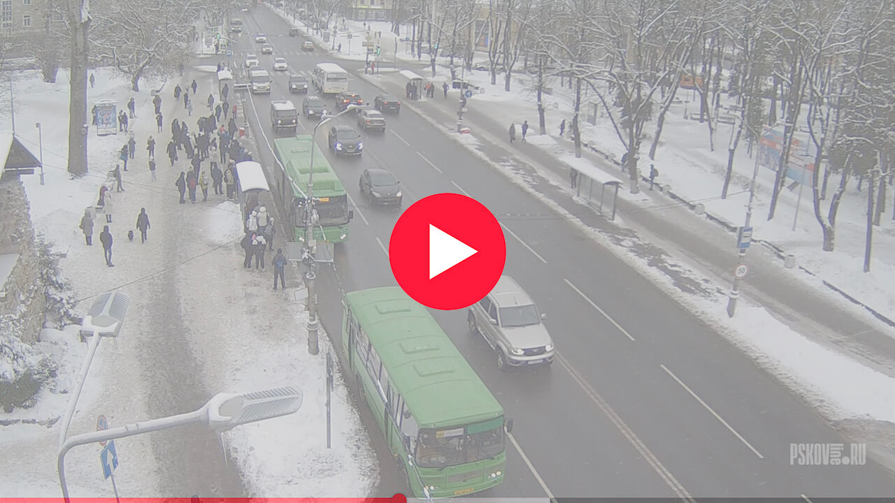 Летний Сад: фото с веб-камеры.