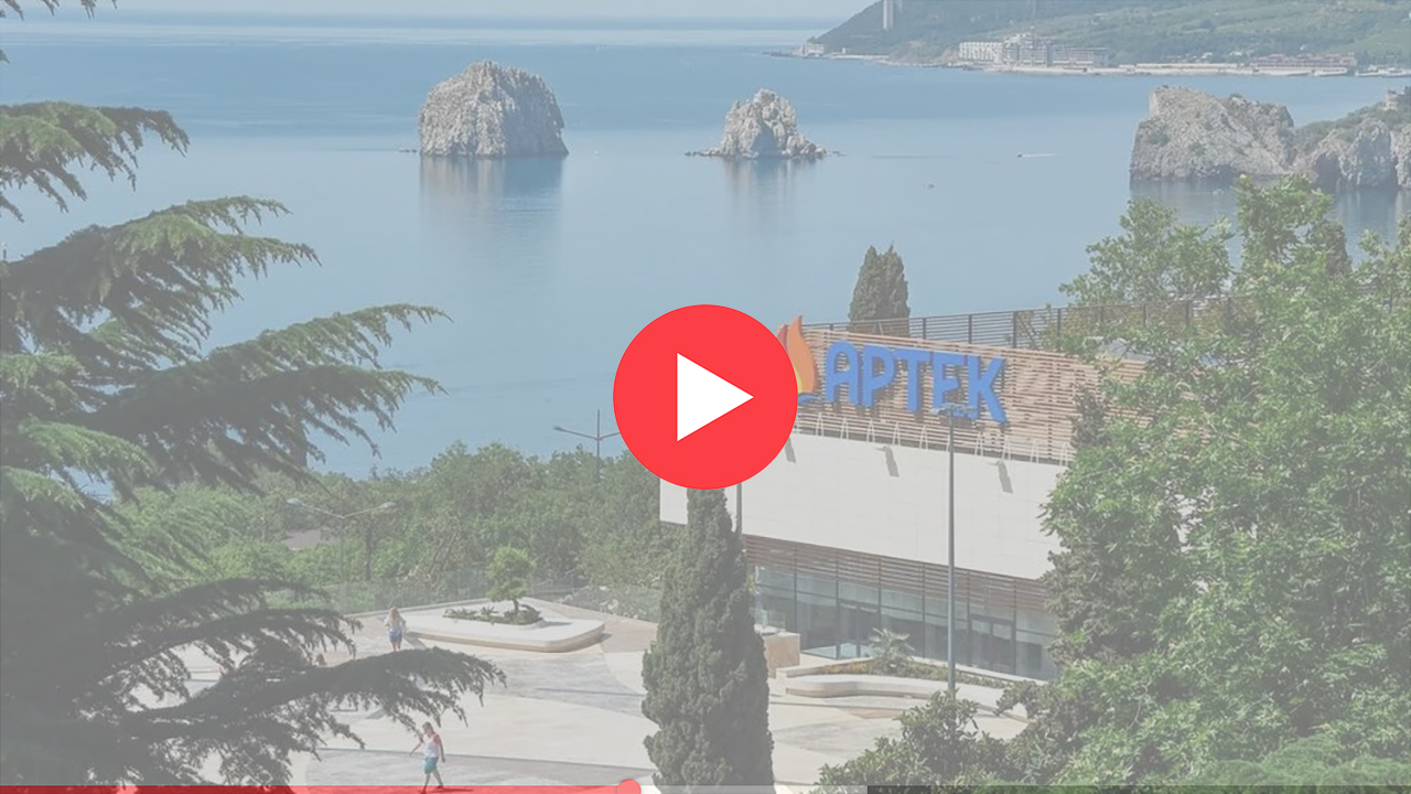 Артек: фото с веб-камеры.