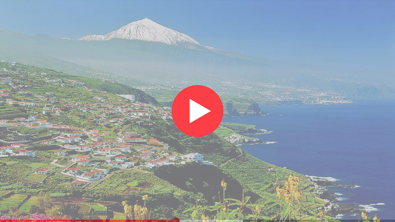 Фото с камер Тенерифе.